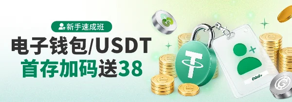 新手电子钱包38-共用